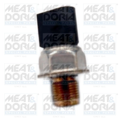 Sensor, fuel pressure